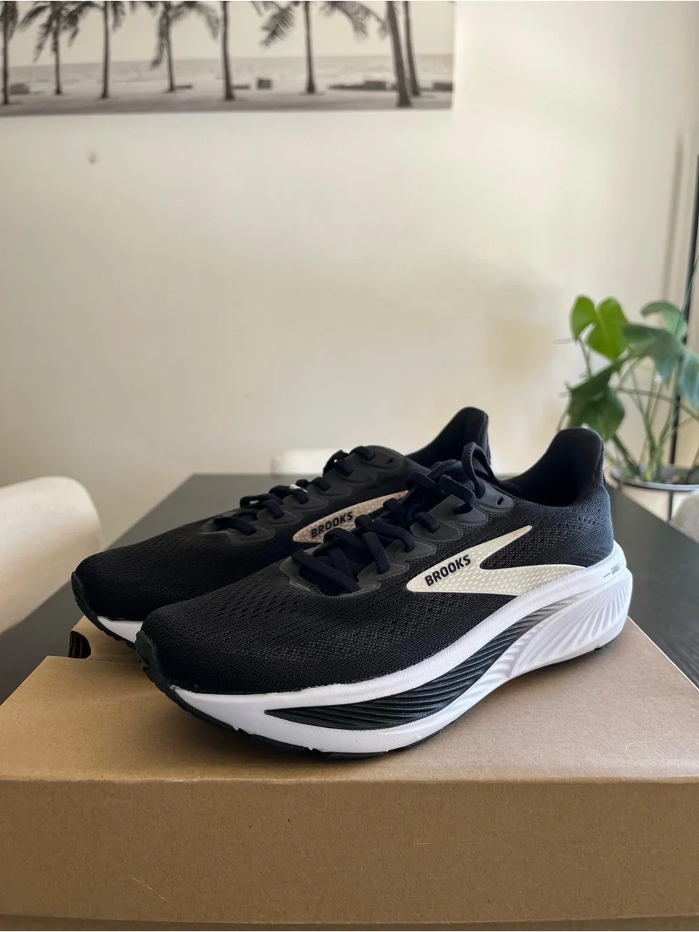 Brooks Black & White Ghost Running Shoes